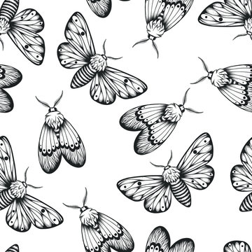 seamless pattern of moth, sketch style butterfly illustration, vector illustration isolated on white, tattoo design
