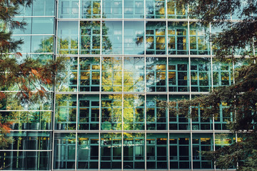 A building with a glass wall reflecting trees.