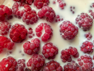 raspberries in milk. light dessert. food background