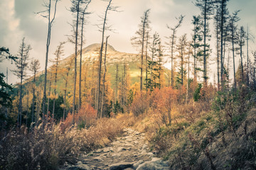 Autumn in the High Tatras in Slovakia