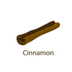 Cinnamon stick on white background. Color food vector illustration. Cartoon hand drawn spice. Isolated icon