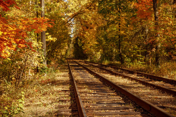 Fototapeta premium Trees with yellow and green leaves and tramways in autumnal park at day