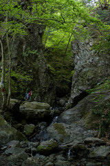 棒ノ嶺(棒ノ折山)の登山道