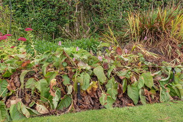 victorian walled garden kylemore irleand