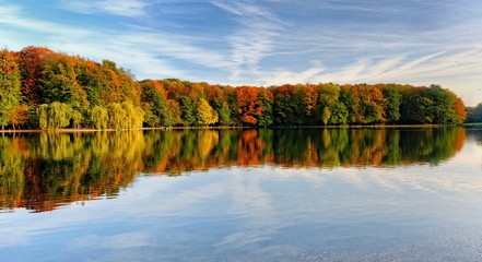 colorful autumnal forest on a sunny day reflected in a pond