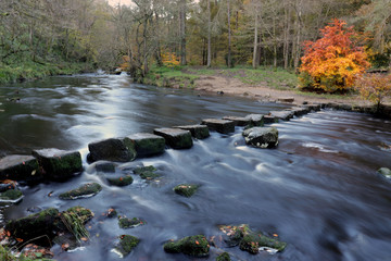 stepping stones across river in autumn