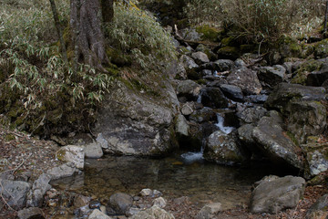 大菩薩嶺の登山道