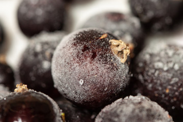 Frozen berries currant with crystals ice macro closeup white background