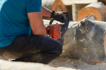 Anonymous man with chainsaw cutting logs