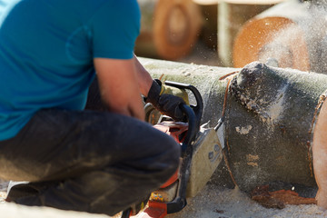 Anonymous man with chainsaw cutting logs