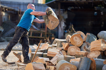 Fit lumberjack carrying beech logs