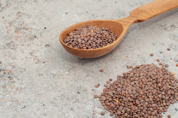 lentils in a wooden spoon, close-up on a gray background. horizontal orientation