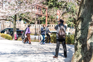 Obraz premium CHIYODA, TOKYO PREFECTURE, JAPAN - March 27, 2019: Visitors enjoying the scenario surrounded by Chidori-ga-fuchi Moat's cherry blossoms (sakura) on a rental boat ride.