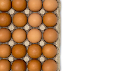 A top view of a hen's egg in a panel on a white background