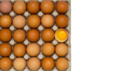 A top view of a hen's egg in a panel on a white background