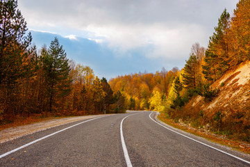 Fototapeta premium road in autumn