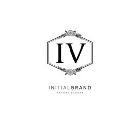 I V IV Beauty vector initial logo, handwriting logo of initial signature, wedding, fashion, jewerly, boutique, floral and botanical with creative template for any company or business.