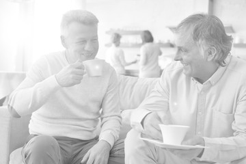 Smiling mature men holding coffee while sitting on sofa at home