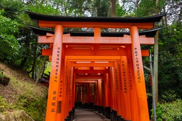 Torii Gateways in Fushimi Inari Shrine, Landmark of Kyoto Japan