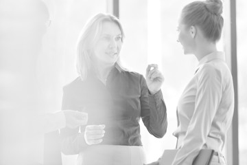 Black and white photo of Businesswomen planning strategy during meeting against window at office