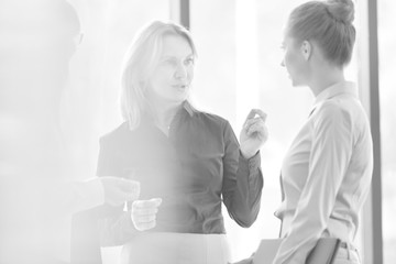 Black and white photo of Businesswomen planning strategy during meeting against window at office