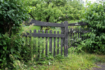 old wooden gate