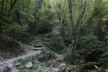 path in forest by Sorgenti del Meschio (nature,wood,green,mountain,travel,natura,alberi,foglie,montagna,sentiero,percorso)
