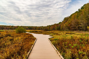 Walkway in autumn