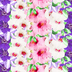 Beautiful floral background of clematis, hibiscus and orchids. Isolated