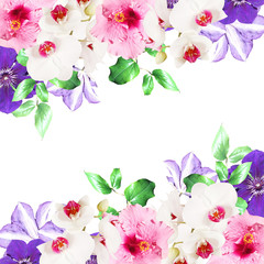 Beautiful floral background of clematis, hibiscus and orchids. Isolated