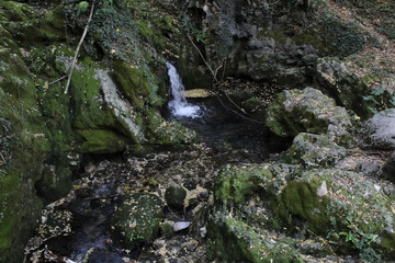 stream in forest by Sorgenti del Meschio(waterfall,nature,water,landscape,green,rock,stone,falls,mountain,tree,natura,acqua,verde,paesaggio,roccia,pietra,montagna,cascate)