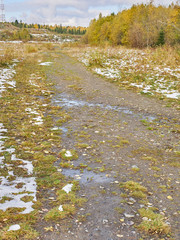 road in the field. autumn