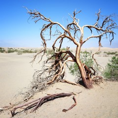 Death Valley. Beautiful American landscape.