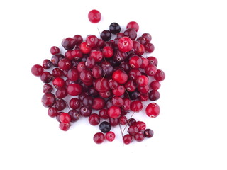 cranberries on a white background