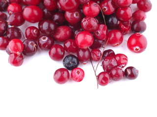 cranberries on a white background