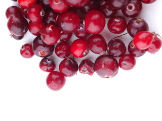 cranberries on a white background