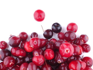 cranberries on a white background