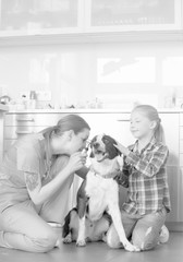 Young veterinary doctor looking through otoscope equipment in dog's ear