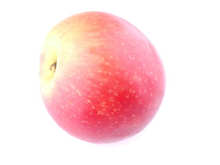 red apple on a white background