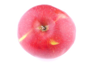 red apple on a white background