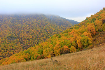 mountain natural scenery