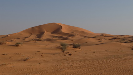 Fototapeta na wymiar Star Dunes in the Nafud Desert close to Ha'il in Northern Saudi Arabia