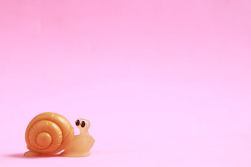 snail shaped plastic toy in color background