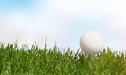 golf ball with a golf tee on a grass