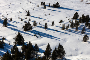 Mountain landscape nearby the french town of Font Romeu in the  Pyrenees mountains, France 