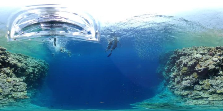 Underwater coral and fish 360 vr