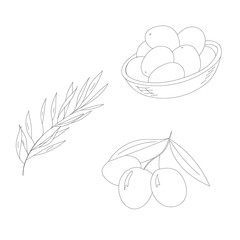 Vector set of olives. Outline illustration.