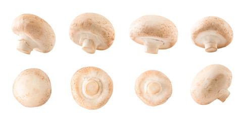 Set of side and top views of whole champignon mushrooms isolated on white background
