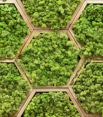 Seamless texture of floral moss modules in hexagon wooden frames. Wroclaw. Poland.