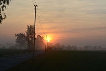The rising sun in the morning
